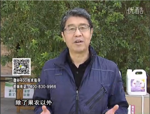20160321珠江臺搖錢(qián)樹(shù)：柑橘用微補方案，百萬(wàn)收入不是夢(mèng)
