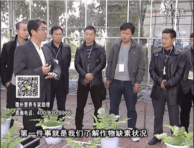 20160418珠江臺搖錢(qián)樹(shù)：和重慶種植業(yè)主走進(jìn)微補，探秘微補生產(chǎn)研發(fā)技術(shù)