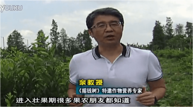 20160620珠江臺搖錢(qián)樹(shù)：柑橘淋微補調力、噴蓋力+壯力，調酸壯長(cháng)勢、膨果防裂好