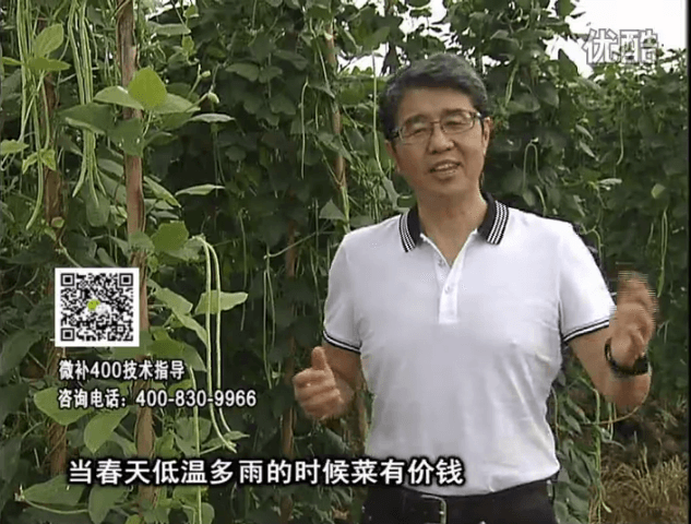 20160704珠江臺搖錢(qián)樹(shù)：蔬菜用微補方案，省肥藥又保產(chǎn)