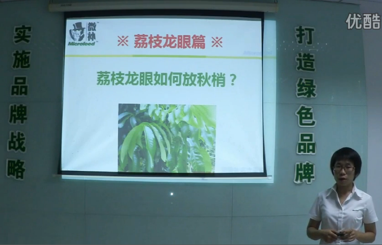 荔枝龍眼-采后樹(shù)弱、秋梢不壯怎么辦？請看微補講座