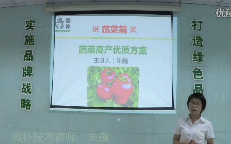 蔬菜-提苗壯長(cháng)、提高坐果高產(chǎn)方案.微補講座