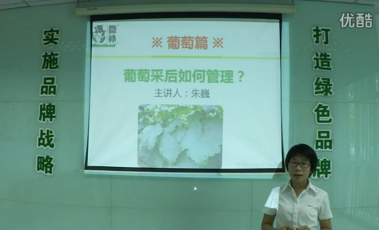 葡萄-采后恢復樹(shù)勢、來(lái)年花芽分化好.微補講座