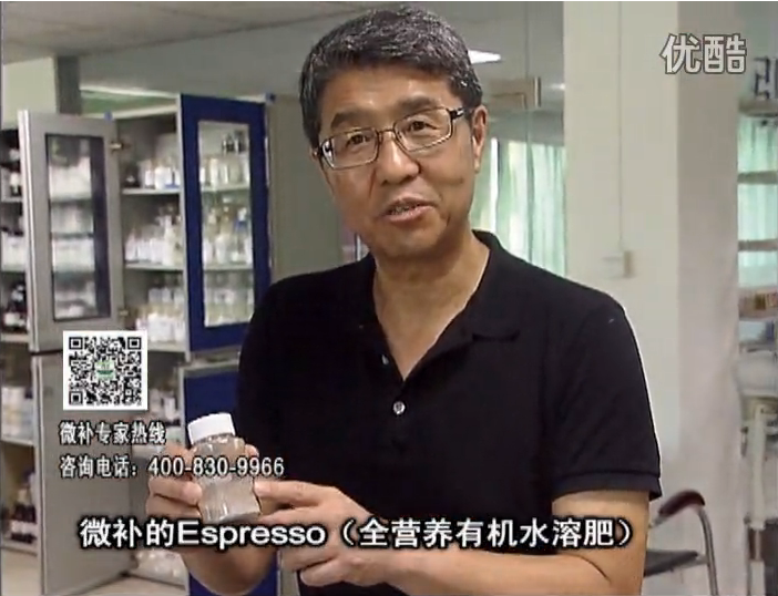 20160822珠江臺搖錢(qián)樹(shù)：柑橘秋梢淋沖因迪樂(lè )精華粉，補充有機營(yíng)養，健壯果樹(shù)