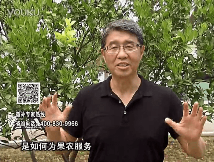 20160912珠江臺搖錢(qián)樹(shù)：針對果場(chǎng)面積、缺素營(yíng)養、設施管理、投入產(chǎn)出，微補做個(gè)性化定制服務(wù)