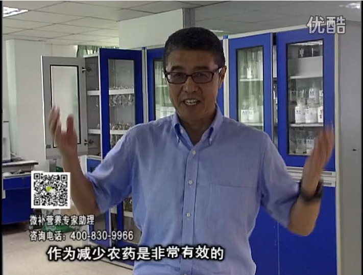20161024珠江臺搖錢(qián)樹(shù)：種植作物調酸、平衡營(yíng)養、提高抗病力能大大降低病害發(fā)生和農藥使用量