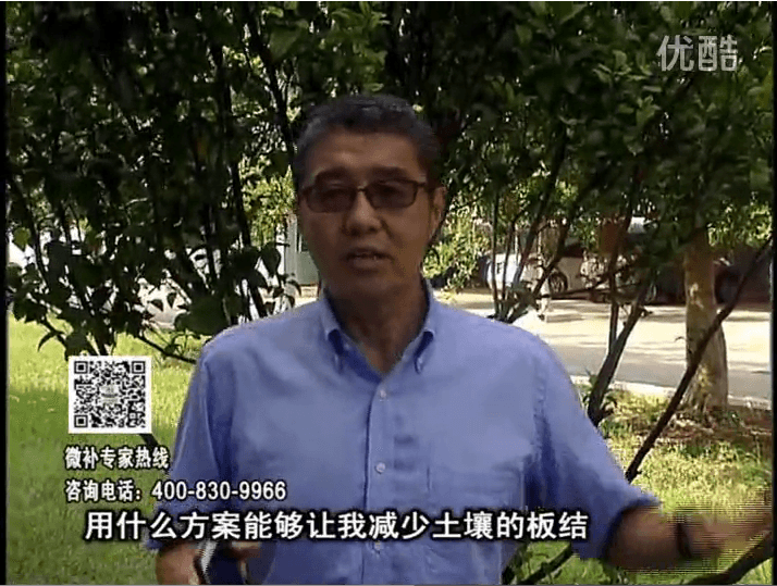 20161031珠江臺搖錢(qián)樹(shù)：減少化肥使用量、土壤少板結有辦法