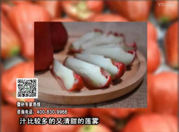 20170424珠江臺搖錢(qián)樹(shù)：蓮霧淋沖微補水肥，壯長(cháng)、提高果實(shí)品質(zhì)賣(mài)價(jià)