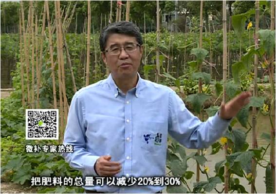 20170508珠江臺搖錢(qián)樹(shù)：如何提高蔬菜抗病增產(chǎn)