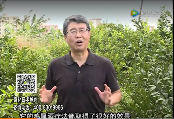 20170807珠江臺搖錢(qián)樹(shù)：如何提高作物抗病力