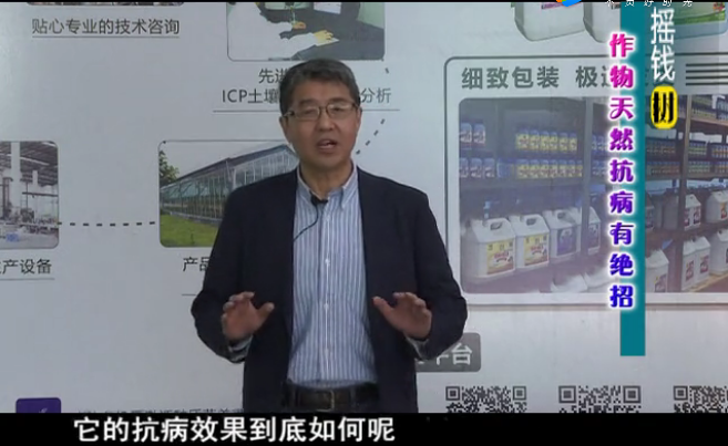 20180319珠江臺搖錢(qián)樹(shù)：如何提高作物免疫力