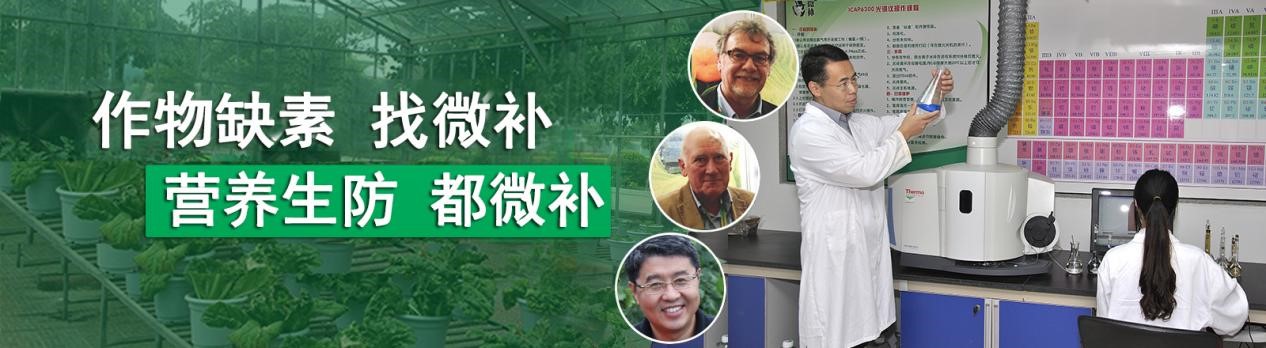 植物營(yíng)養