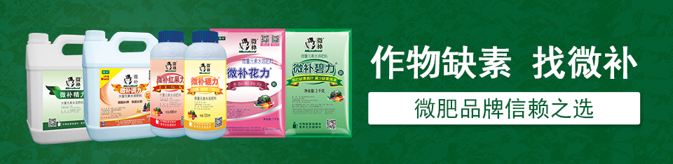 葉面肥廠(chǎng)家