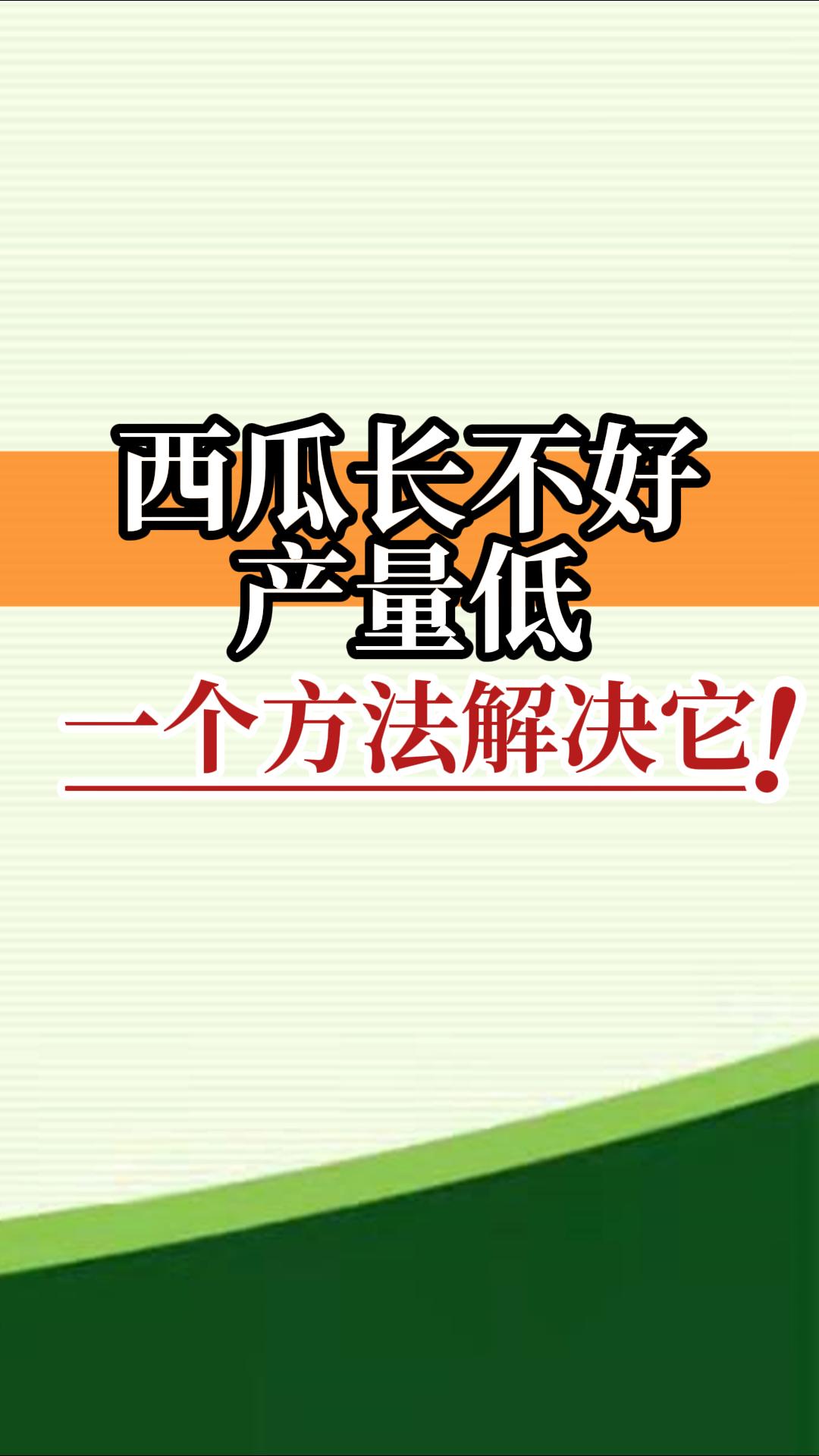 西瓜長(zhǎng)不好產(chǎn)量低？