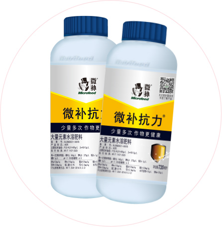 如何做好冬季清園，減少來(lái)年病蟲害影響