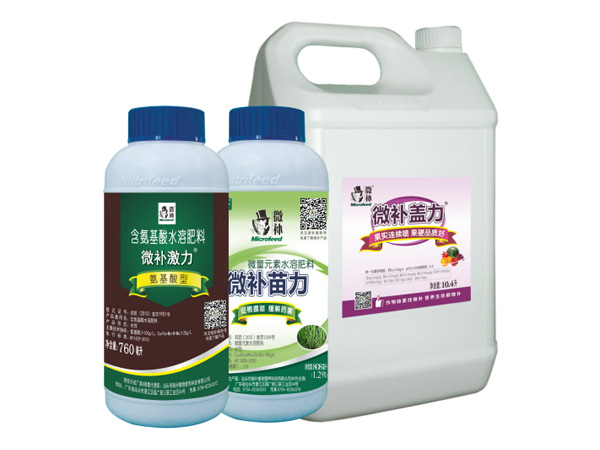 讓作物安全過冬的實用小妙招，速看