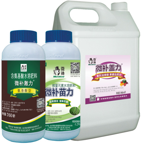 讓作物安全過冬的實用小妙招，速看