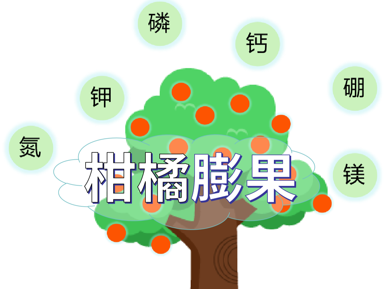 柑橘膨果慢？找準原因，“對癥下藥”