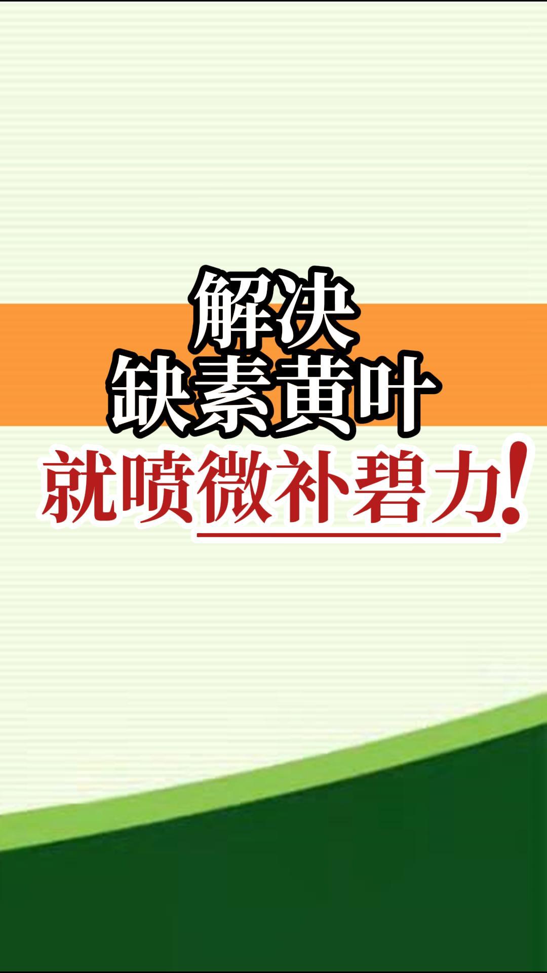 解決缺素黃葉就噴微補(bǔ)碧力！